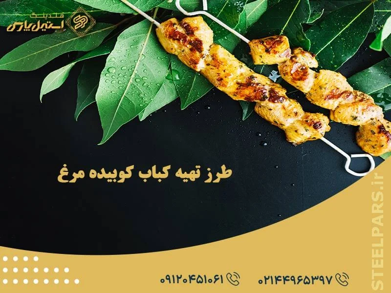 طرز تهیه کباب کوبیده مرغ
